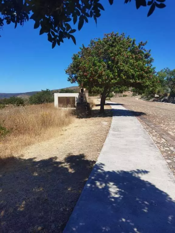 Viñedos San Miguel - Propiedad en venta en Viñedo San Miguel, San Miguel de Allende