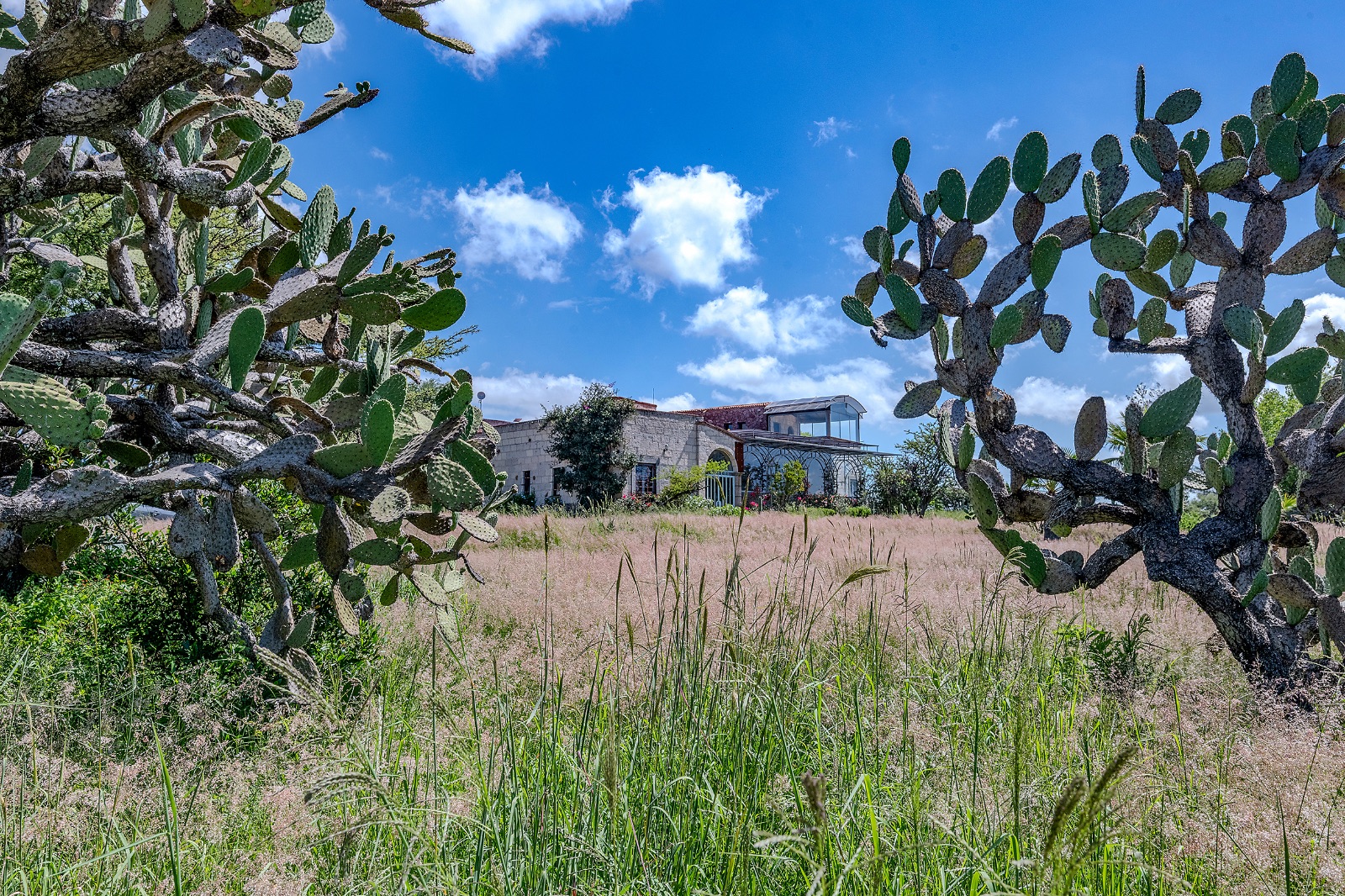 Rancho Sunrise Fiesta - Casa de 4 recámaras en venta en San José de la Amistad, San Miguel de Allende