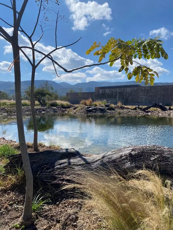 Lote 23 La Providencia - Propiedad en venta en Alcocer, San Miguel de Allende